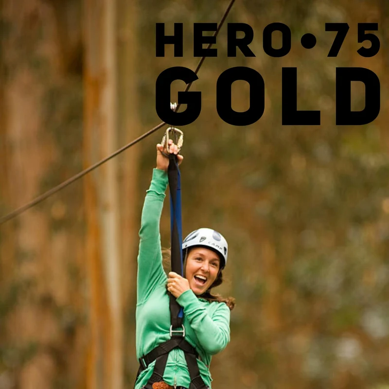 Zipline kit 75 m - Gold