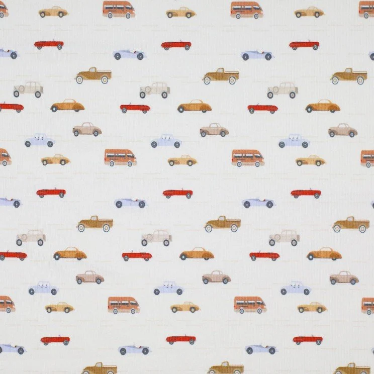 Rib Jersey „Little cars“
