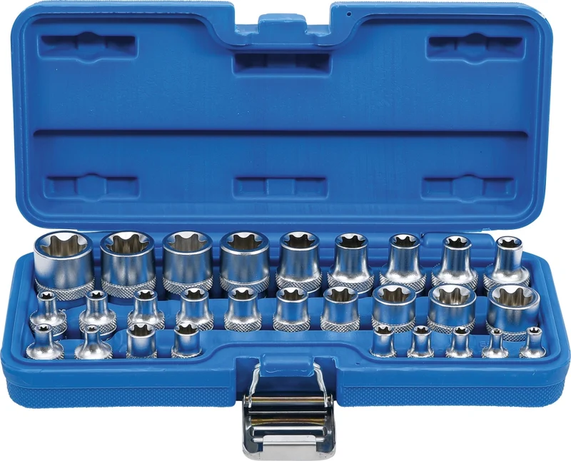 BGS 70099 Satz Steckschlüssel-Einsatz mit E-Profil Innenvierkant 6,3mm (1/4") /12,5mm (1/2") SW E4 - E24