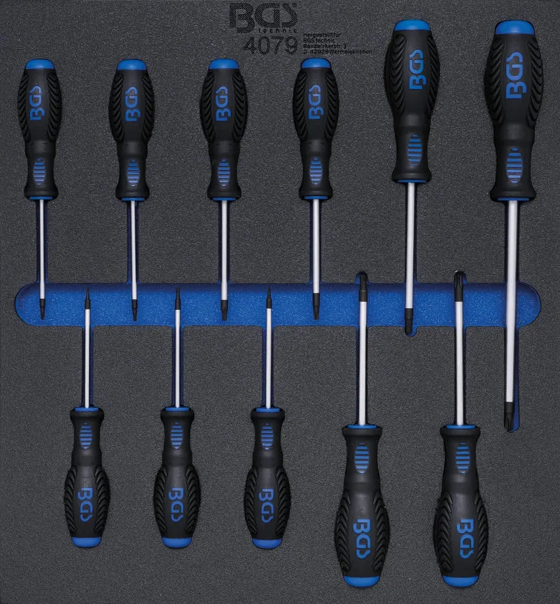 BGS 4079 Satz Schraubendreher T-Profil (für Torx) T6 - T40 Werkstattwageneinlage 2/3