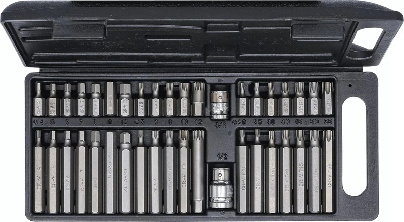BGS DIY 7073 Bitsatz Vielzahn (XZN) T-Profil (Torx) und Innensechskant Bits 40 teilig